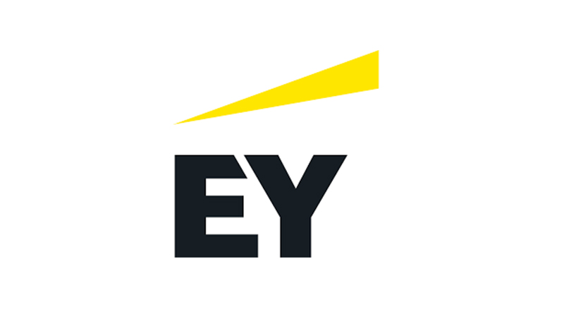 EY Bursary Programme 2025
