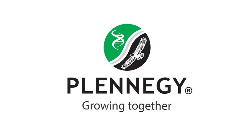 Plennegy Internship Programme 2024 / 2025 1 Plennegy Internship Programme 2024 / 2025