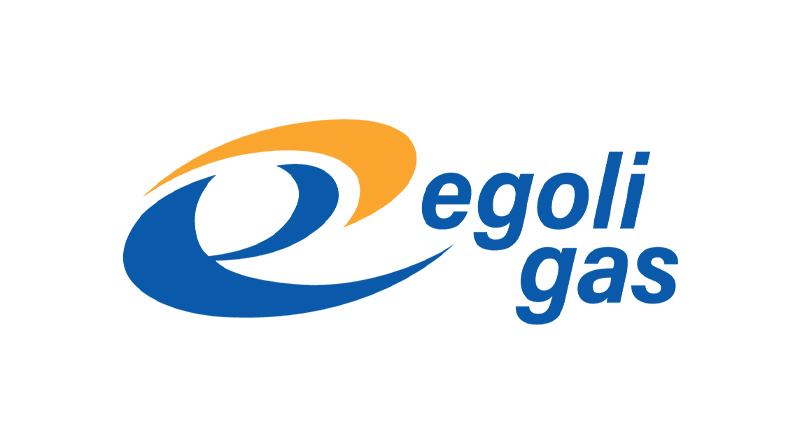 Egoli Gas Supply Chain Internships 2024 / 2025 1 Egoli Gas Supply Chain Internships 2024 / 2025