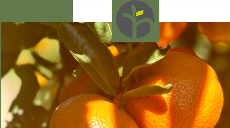 Riverside Katriver Farms Internships 2025