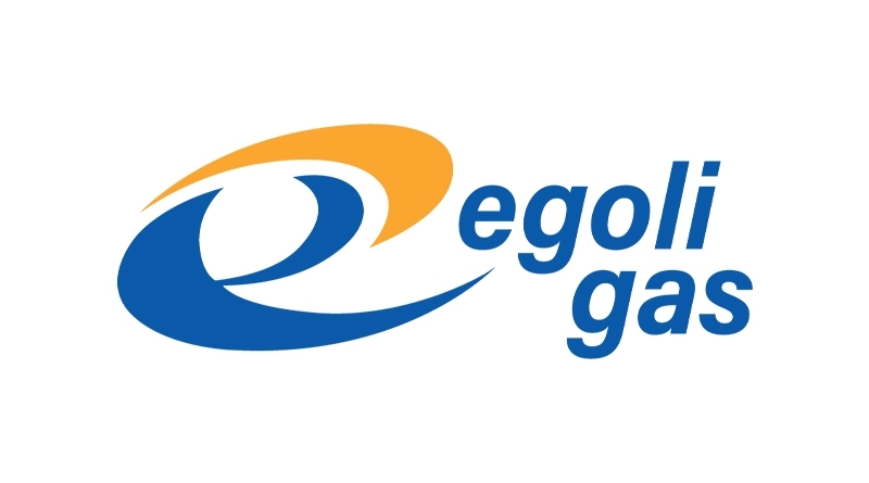 Egoli Gas Graduate Programme 2024 / 2025