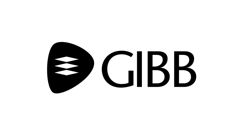GIBB Bursary Programme 2025