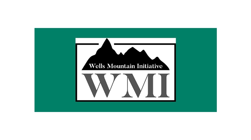 Wells Mountain Initiatives Scholarship Bursary 2025 1 Wells Mountain Initiatives Scholarship Bursary 2025