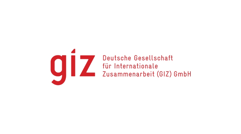 GIZ Internship Programme 2025