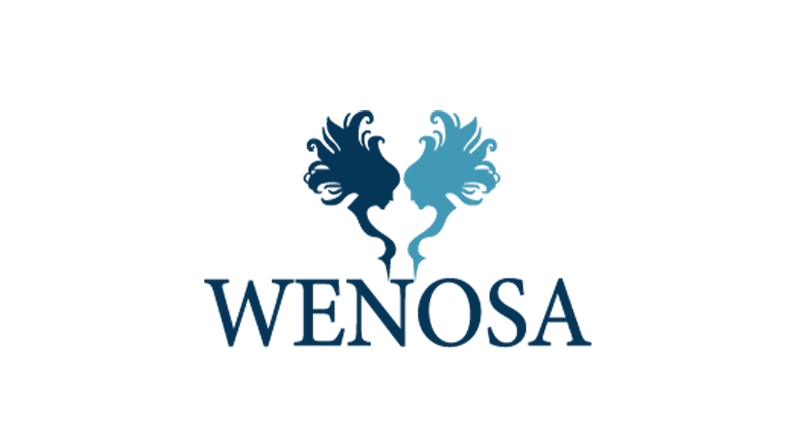 WENOSA Scholarship Bursary 2026