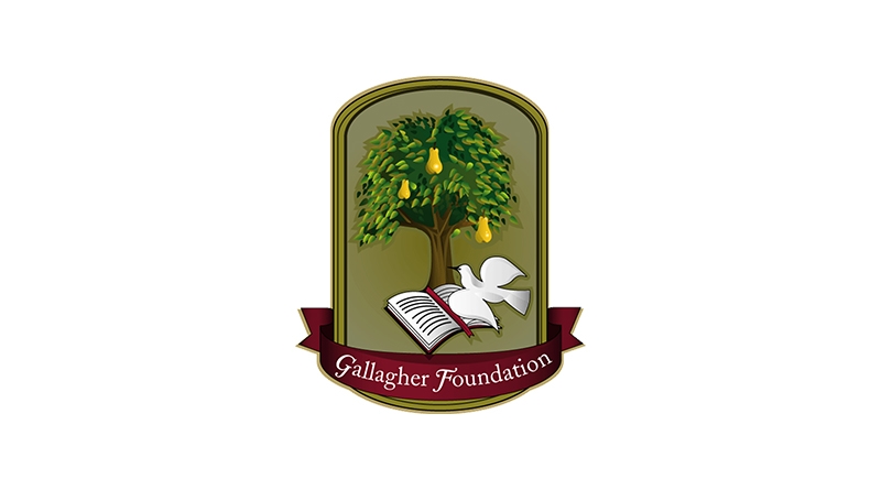 Gallagher Foundation Scholarship Programme 2026